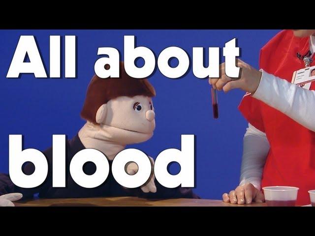 All About Blood | Kids Health | The Friday Zone | WTIU | PBS