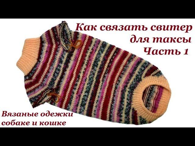 10 Как связать свитер для таксы. Часть 1