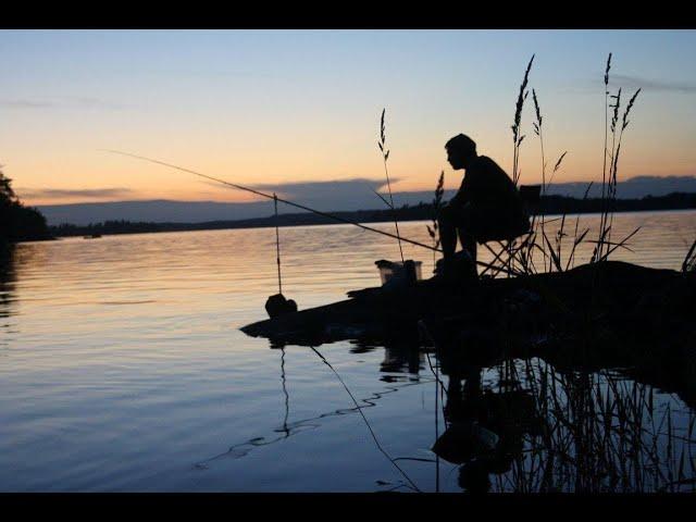 Russian Fishing 4  Mега размот на норвежке!!!  #дрилерстрим #рр4стрим #русскаярыбалка4фарм