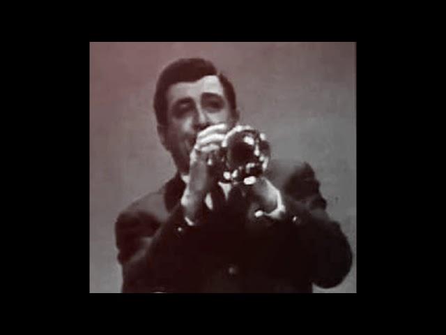 EVENING played by Vladimir Chizhik (trumpet) ВЕЧЕР играет Владимир Чижик (труба)