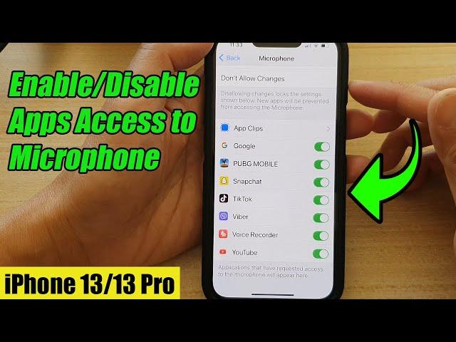 iPhone 13/13 Pro: How to Enable/Disable Apps Access to Microphone