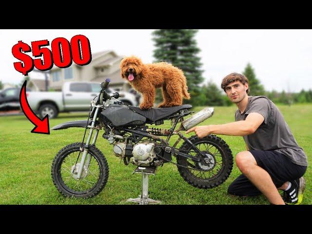 I Bought a $500 Pit Bike (Sat In a Barn For Years)