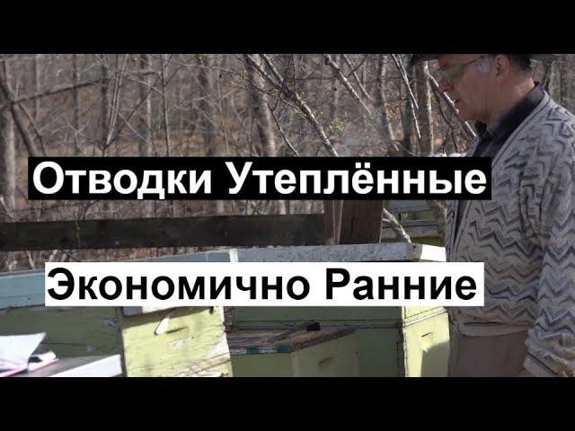 Пасека #109 Отводки Утеплённые Экономичные Ранние  /  Пчеловодство для начинающих