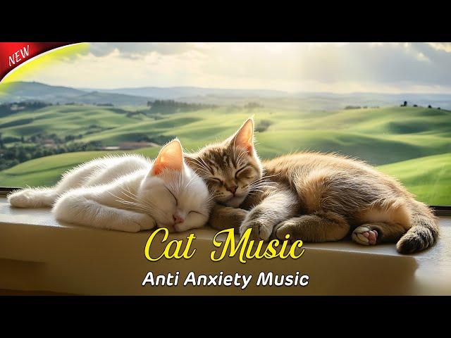 Peaceful Tunes for Cats: Relaxing Music to Keep Your Kitty Calm and Free from Stress and Anxiety 