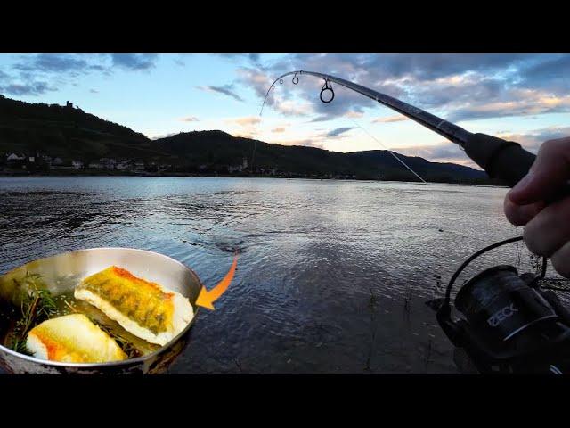 Angeln am Rhein - Über Nacht auf Wels und Zander / Catch and Cook