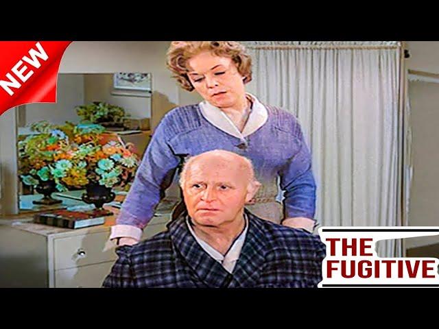 The Fugitive 2024 Full Episode  S03E22 24  The Chinese Sunset