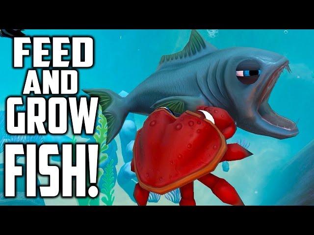 Fish feed and grow - Симулятор Рыбы Убийцы