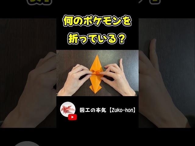 何のポケモンを折っている？