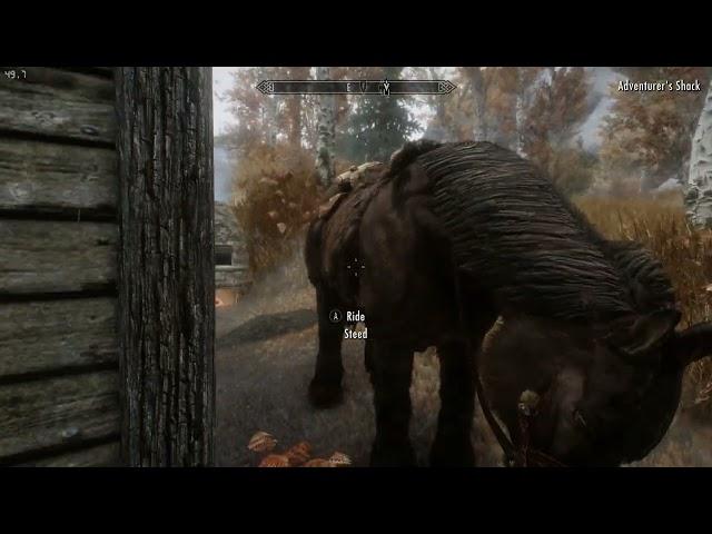 Skyrim Nice Mods,( few graphical changes )