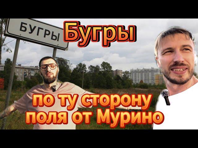 Бугры. По ту сторону поля от Мурино