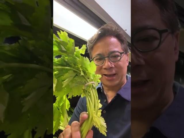 Thie Veggie Can Help Your Brain Heal After a Stroke | Dr. William Li