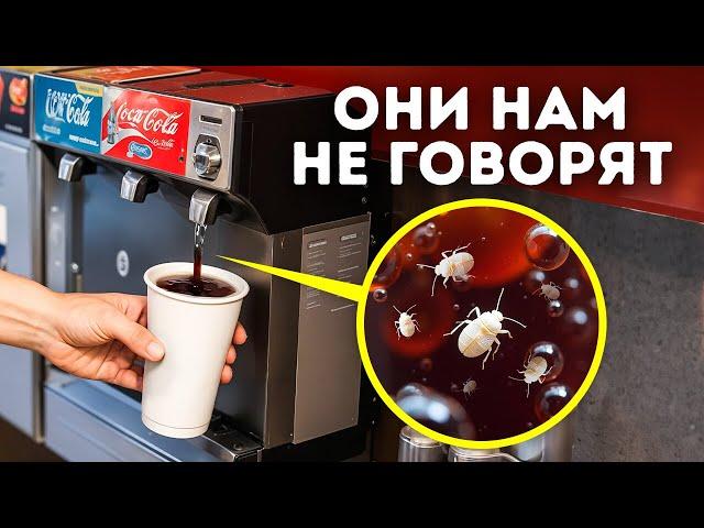 100+ мелких фактов обо всем, которые сделают вас умнее