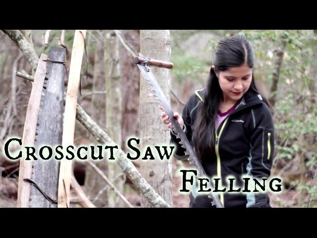 Felling a storm damaged Tulip Poplar with a crosscut saw