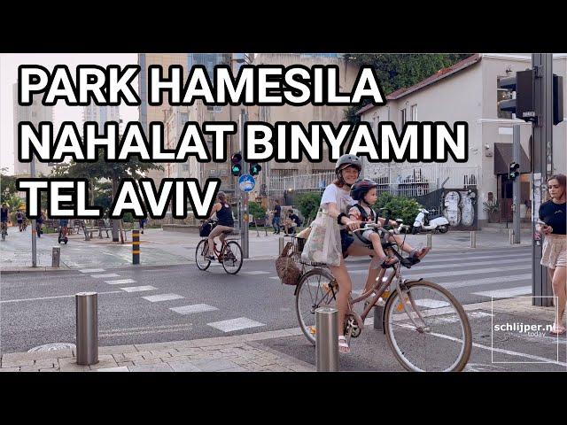 Cars, bicycles and pedestrians crossing, Tel Aviv