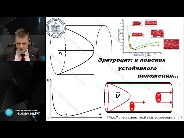 Клиническая физиология кровообращения   на каждый день Лебединский К.М.