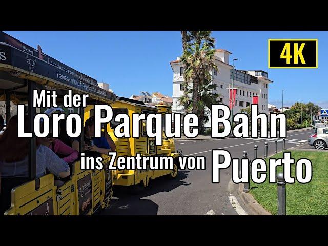 Fahrt mit der Loro Parque Bahn ins Zentrum von Puerto de la Cruz