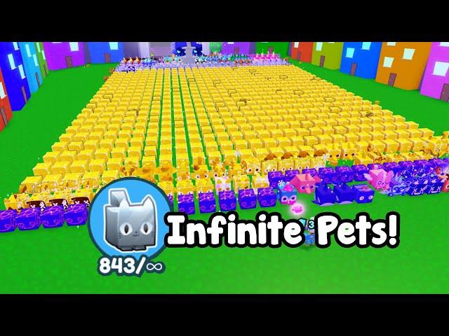 I Bought Infinite Pets Equipped And This Happened! - Pet Simulator X Roblox