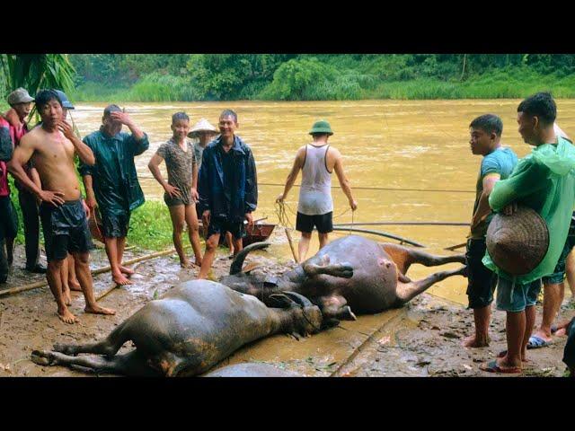 Situation and Recovery of Flood and Landslide Damage in Northwest Vietnam | SAPA TV