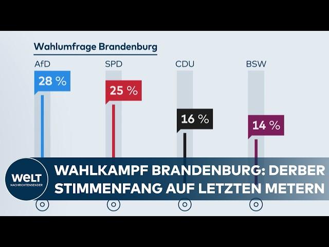 ELECTIONS IN BRANDENBURG: “Abolish the right to asylum” “limited freedom of expression” & SPD vs AFD