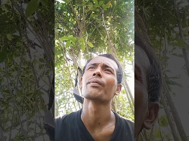 cerita kisah nyata curhatan sejarah Eko kuncir