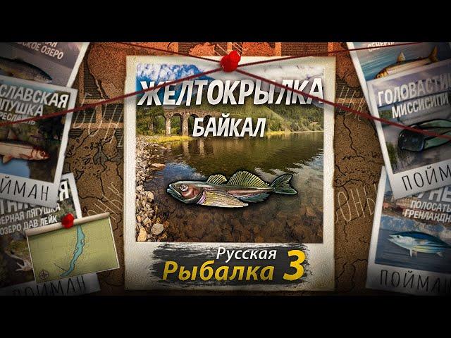 "Мутант" Желтокрылка. Байкал. Русская рыбалка 3.