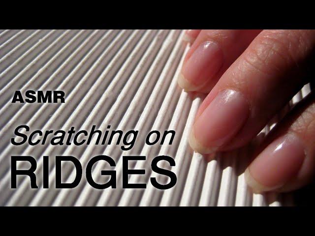 ASMR Scratching on Ridged Textures (NO TALKING)