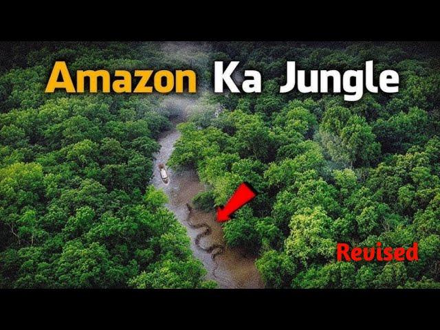 Dangerous Animals of Amazon Jungle | EP 85