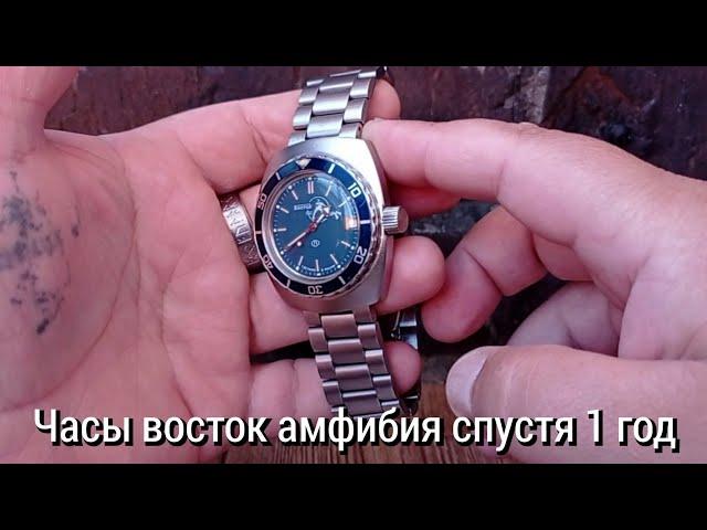 часы восток амфибия один год в эксплуатации, моё мнение!!!⌚️