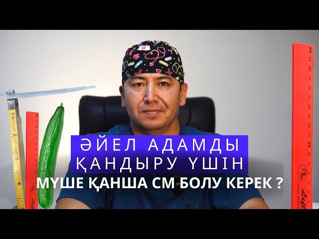 Әйел адамды қандыру үшін мүшенің размері қанша см болуы қажет ?