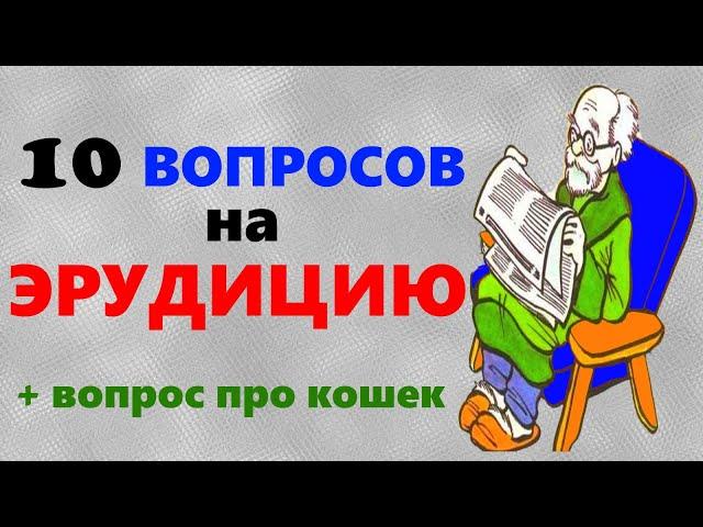 Интересный тест на ЭРУДИЦИЮ и КРУГОЗОР | Викторина с ответами | Бонусный вопрос про кошек