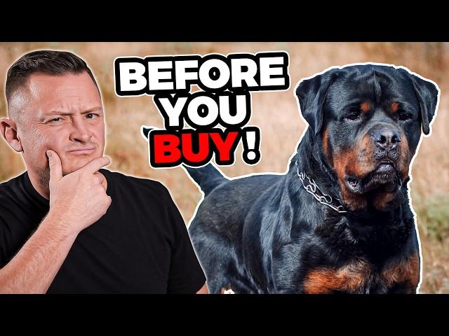 Is the Rottweiler Right For You?