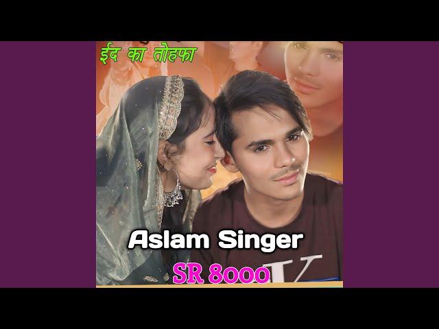 Aslam Singer SR 8000