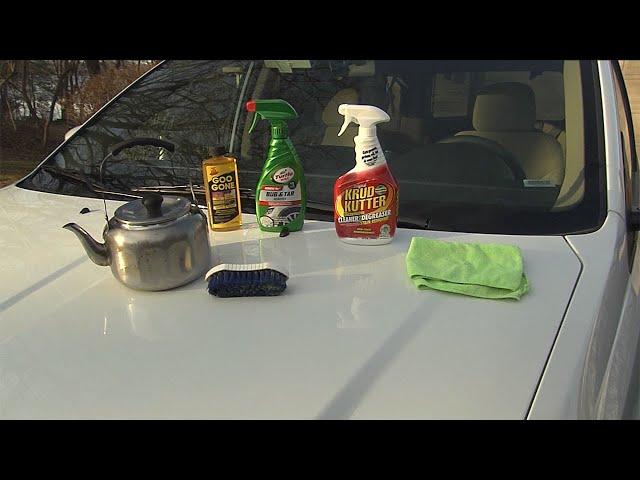 How to Get Rid of Tree Sap on Your Car