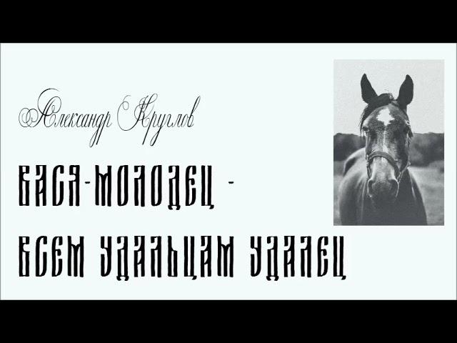 Александр Круглов "Вася-молодец - всем удальцам удалец"