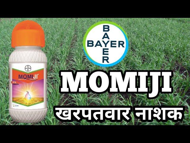 MOMIJI HERBICIDE || BAYER || Pyroxasulfone 85% WG || खरपतवार नाशक ||