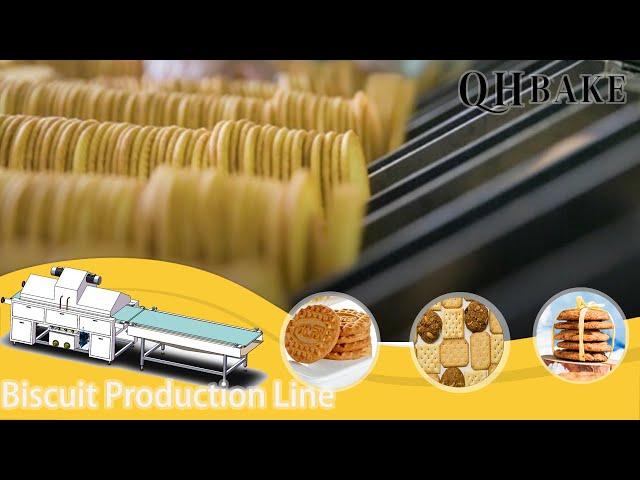 qhbake 400mm hard biscuit making machine,how to make biscuit