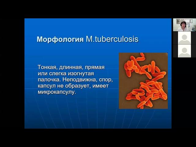 Г.Ш. Исаева. Микобактерии. Возбудители туберкулеза и микобактериозов. Лечебный факультет.