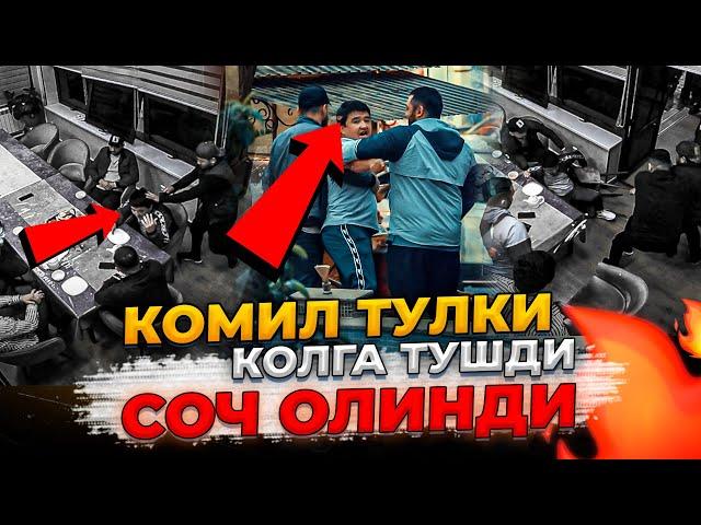 КОМИЛ ТУЛКИ КУЛГА ТУШДИ ! СОЧИНИ ОЛДИМ !  |  KOMIL TULKI QO'LGA TUSHDI ! SOCHINI OLDIM !