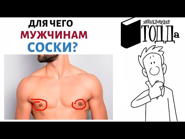 ЗАЧЕМ МУЖЧИНАМ НУЖНЫ СОСКИ?