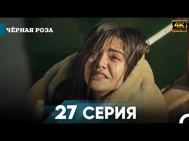 Чёрная роза 27 Серия Kороткий | 4K