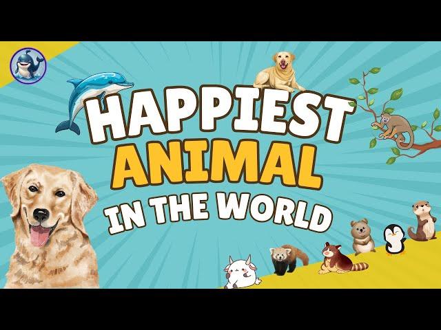 Happiest Animals in the World | Fun and interesting Video for Kids