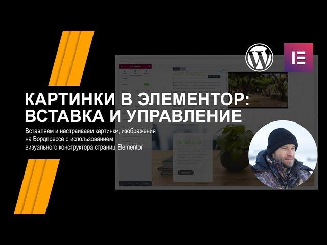 Wordpress | Вставляем и настраиваем картинки, изображения в Elementor