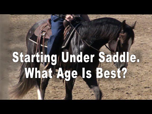 Horse Training - What Age To Start A Horse Under Saddle?