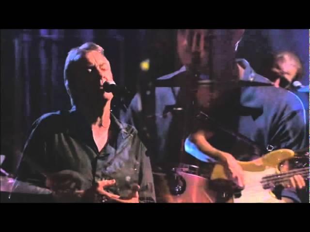 Boz Scaggs - WE'RE ALL ALONE (Live)