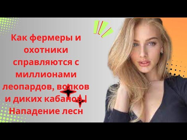 Как фермеры и охотники справляются с миллионами леопардов, волков и диких кабанов | Нападение лесн