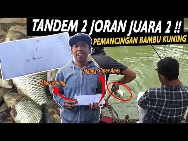 Umpan Jagung Super Amis Ikan Nyosor Pmc BAMBU KUNING #umpanikanmas