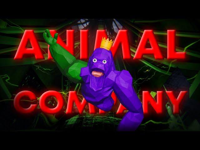 FIGHT Your Friends In Animal Company!