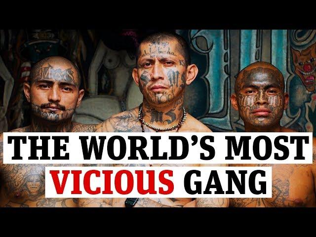 MS-13: The world’s most vicious gang