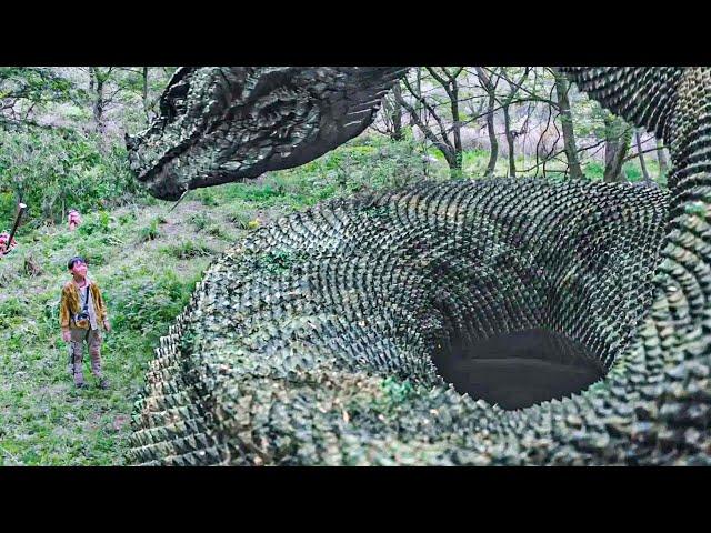 Snake rescued him.They become life and death friends!They battle is imminent,he protects snake