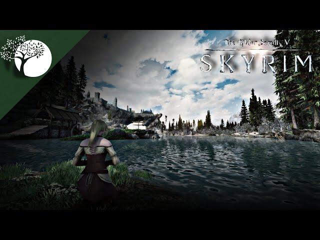 Three Wonderful Mods That Make Your Skyrim Beautiful | Skyrim Visual Mods